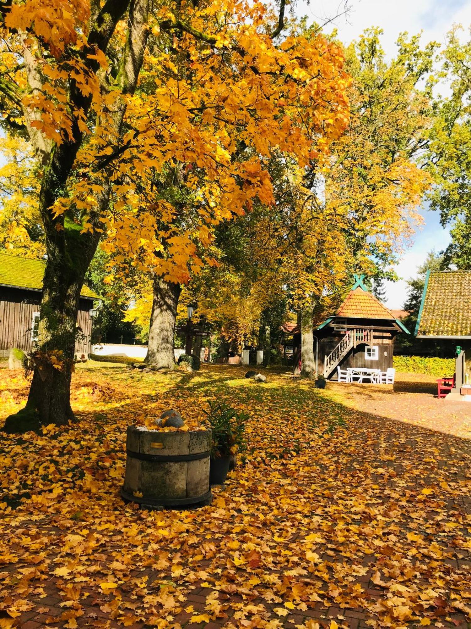 Naturhotel Hof Ehlers Bergen  Zewnętrze zdjęcie